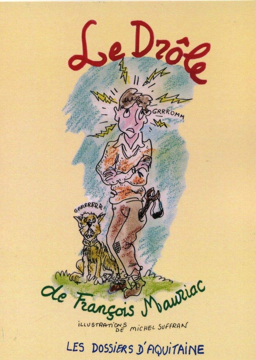 Le Drôle 9782846222006