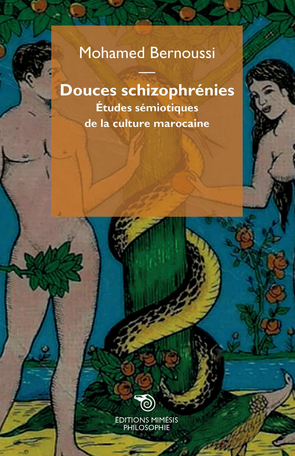 Douces schizophrénies: Etudes sémiotiques de la culture marocaine 9788869761652