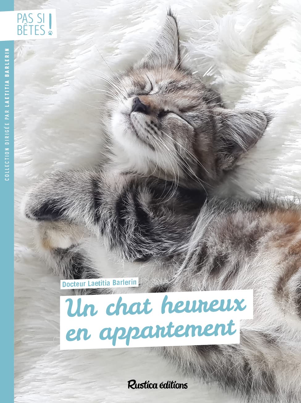 Un chat heureux en appartement 9782815312387