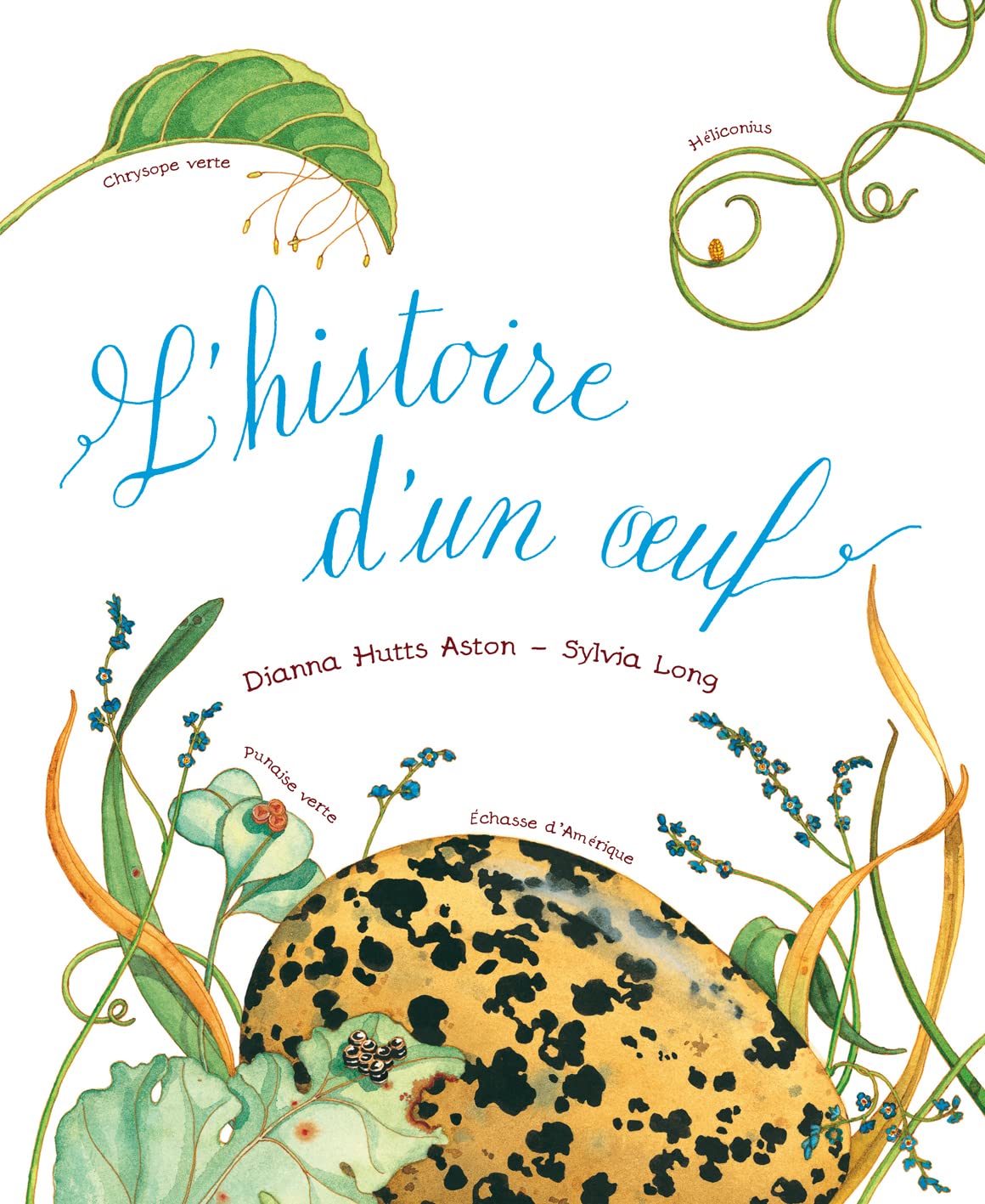 L'histoire d'un oeuf 9782878335668