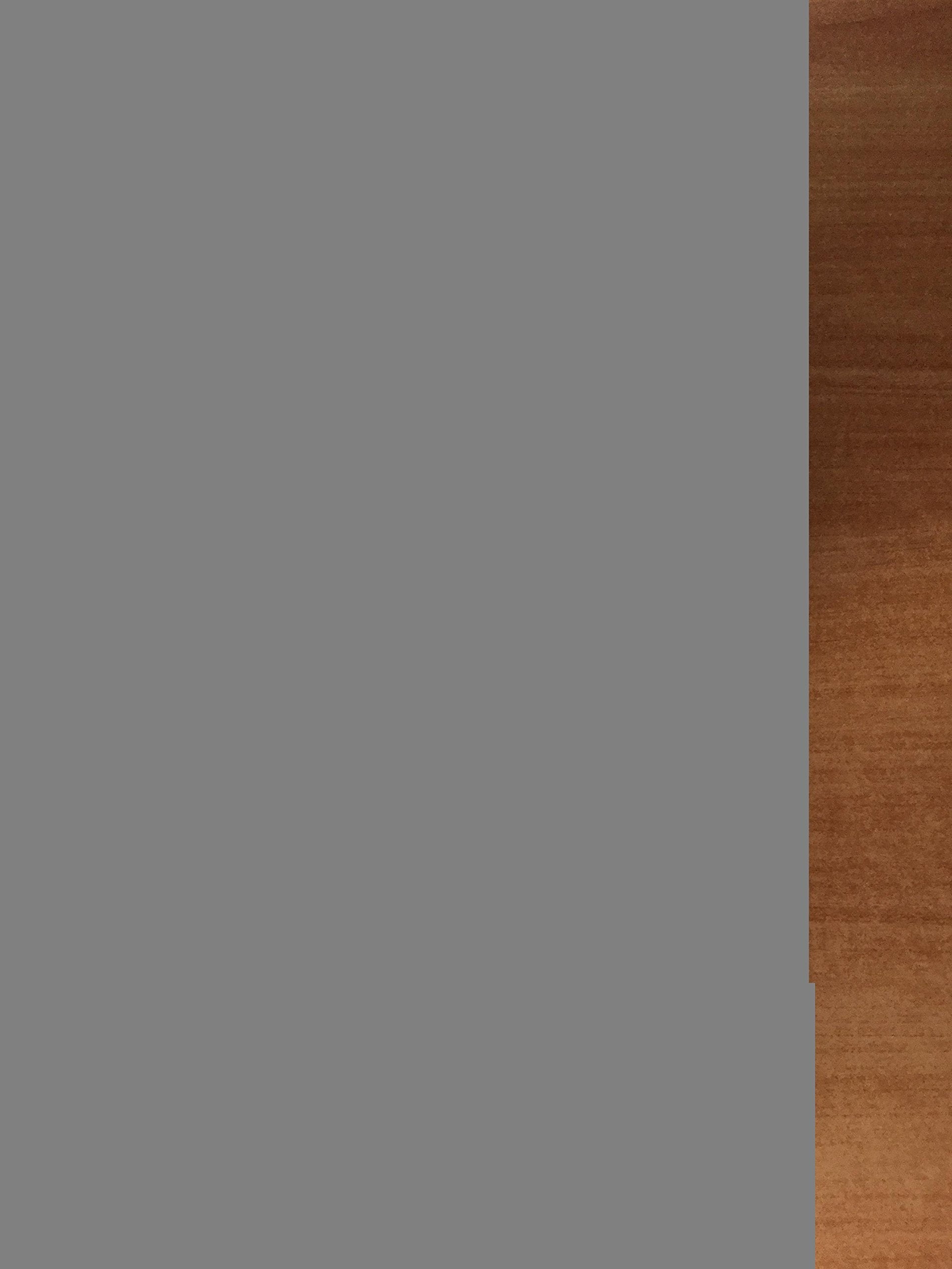 Petite Histoire de Saintes 9782845610927