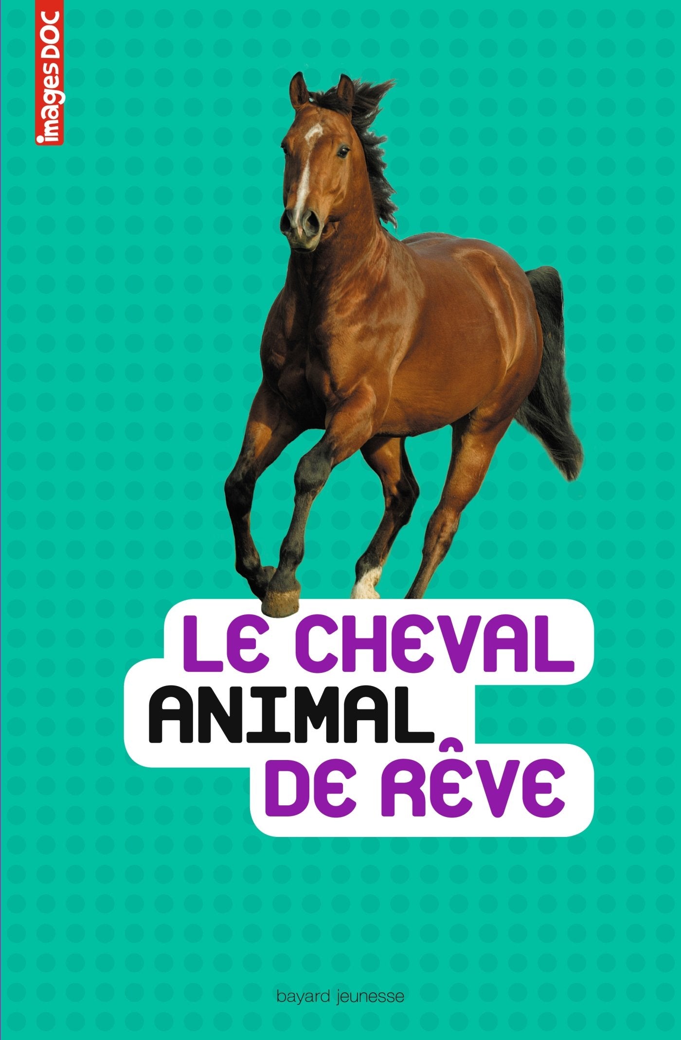 Le cheval, animal de rêve 9782747060189