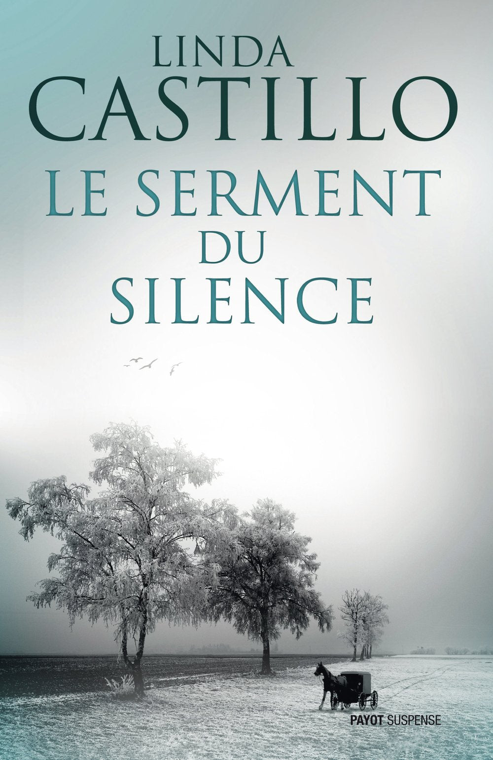 Le serment du silence 9782228906081
