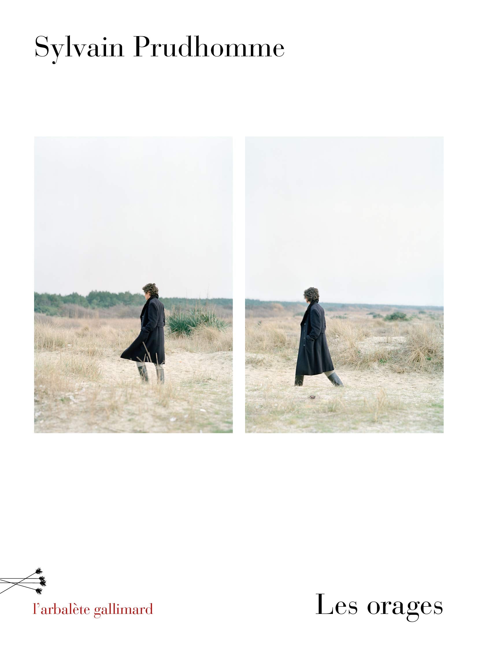 Les orages 9782072928963