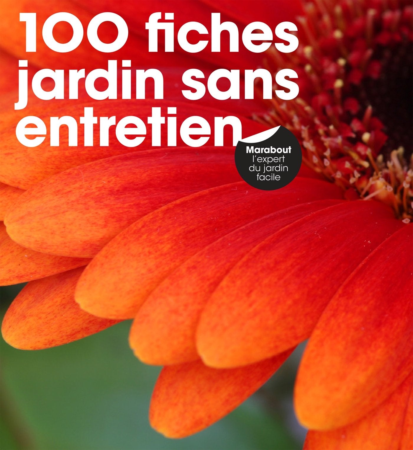 100 fiches jardin sans entretien 9782501120463