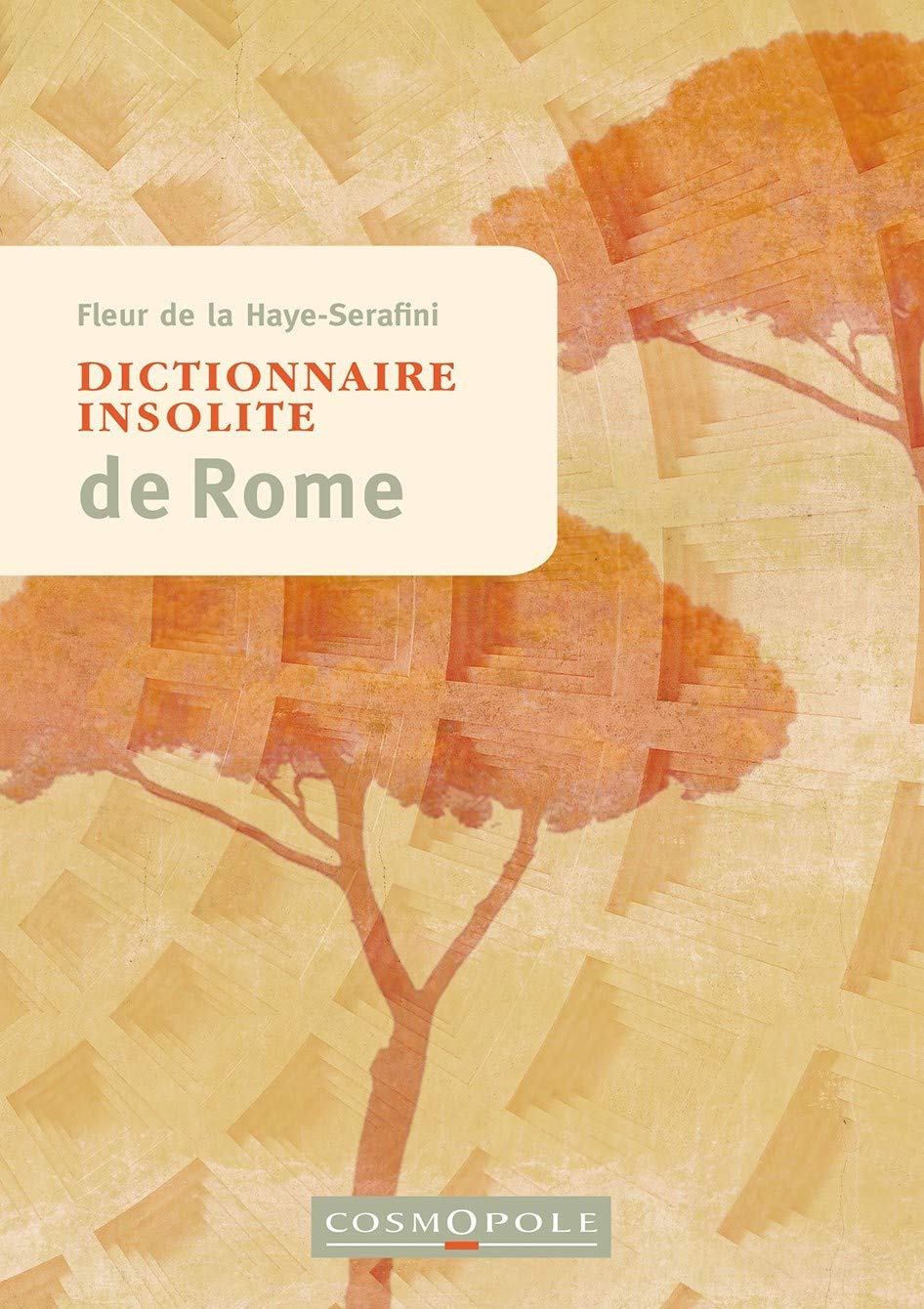 Dictionnaire insolite de Rome 9782846301466