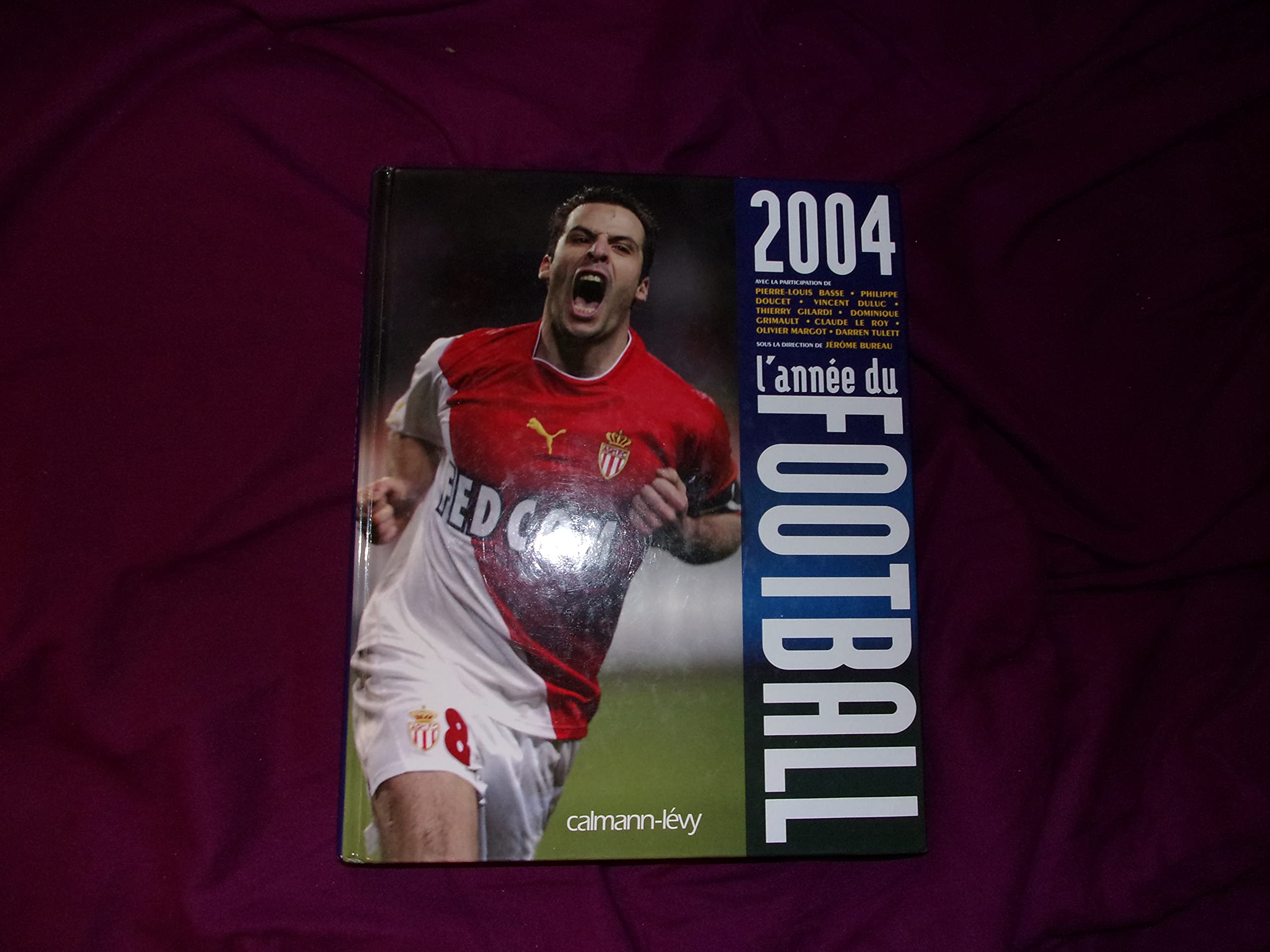 L'année du football 9782702134788