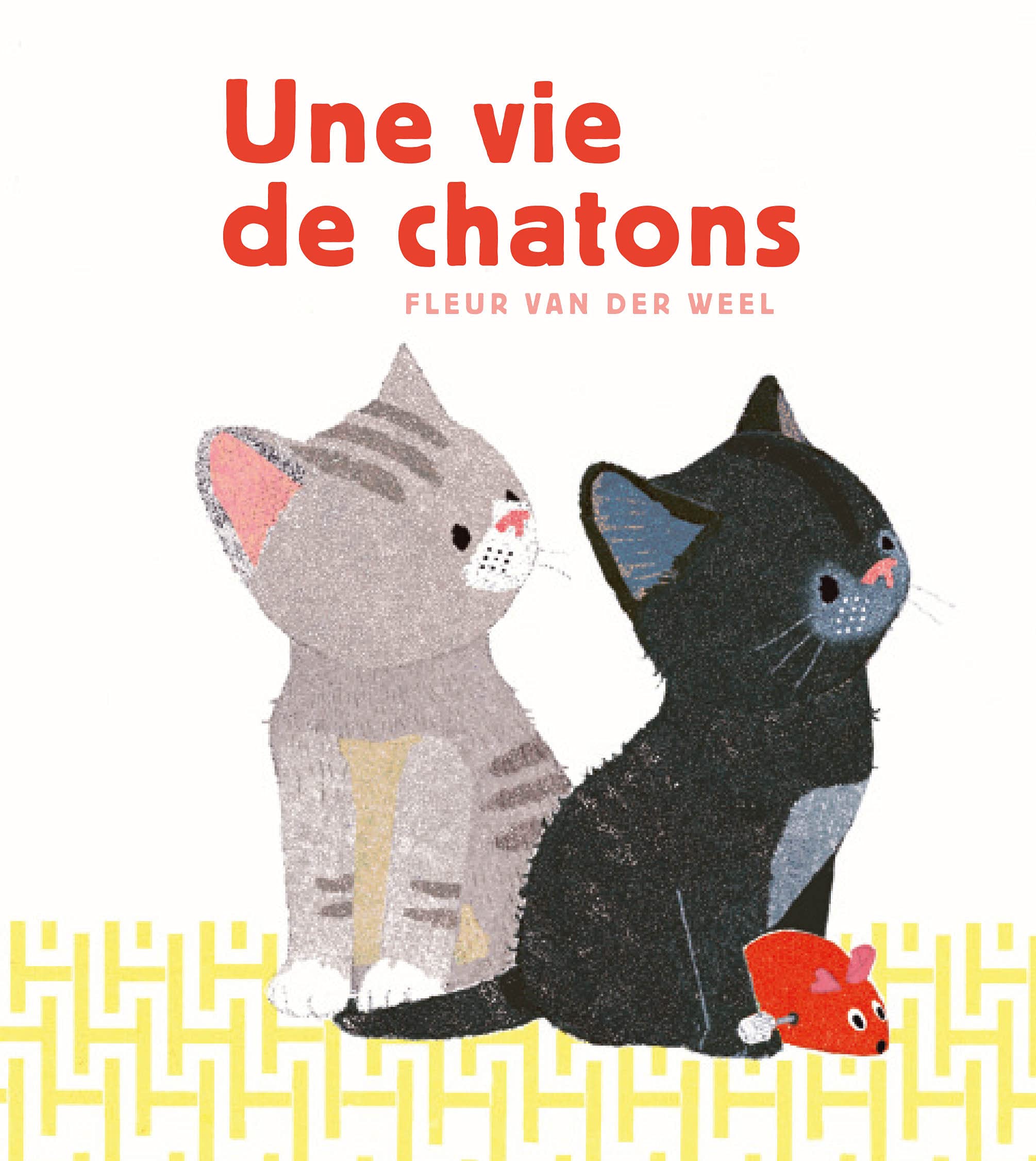 UNE VIE DE CHATONS 9782492768118