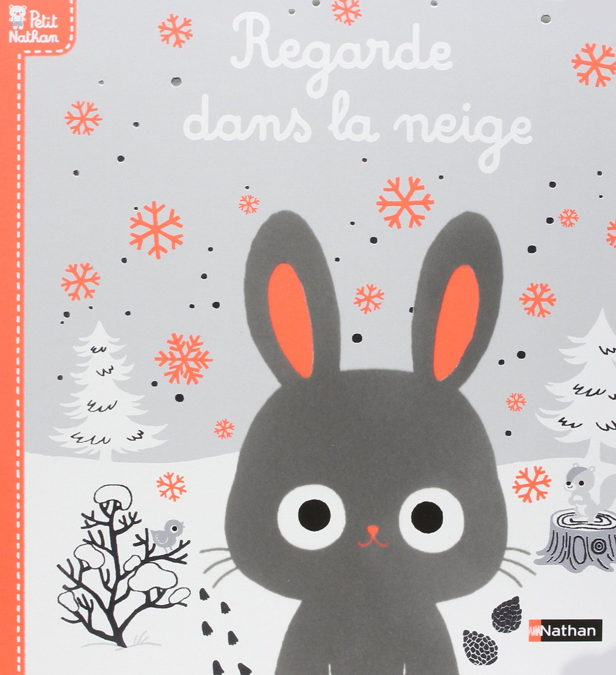 Regarde dans la neige 9782092542828