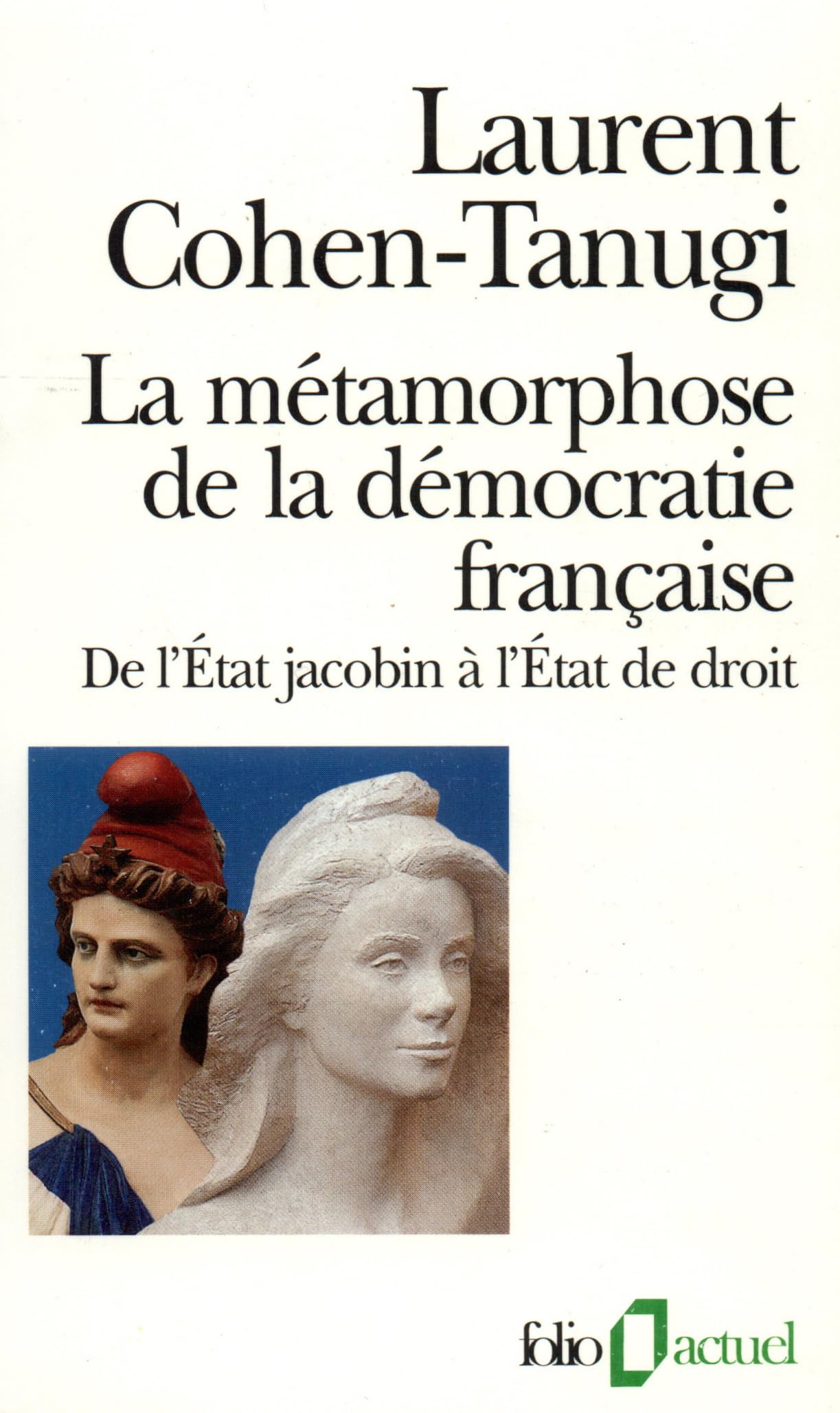 La métamorphose de la démocratie française. De l'Etat jacobin à l'Etat de droit 9782070328062