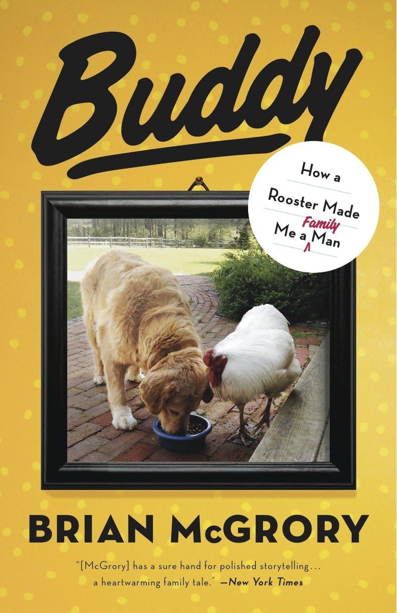 Buddy: How a Rooster Made Me a Family Man 9780307953070