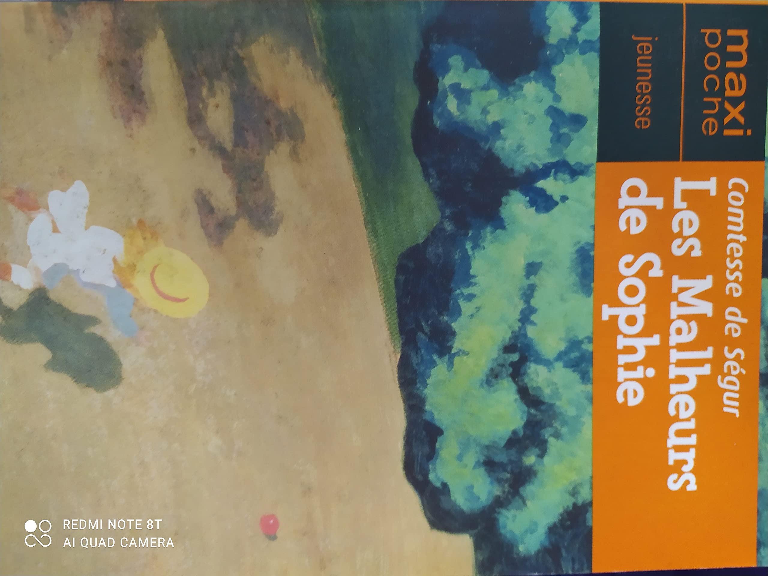 Les malheurs de Sophie 9782743453657