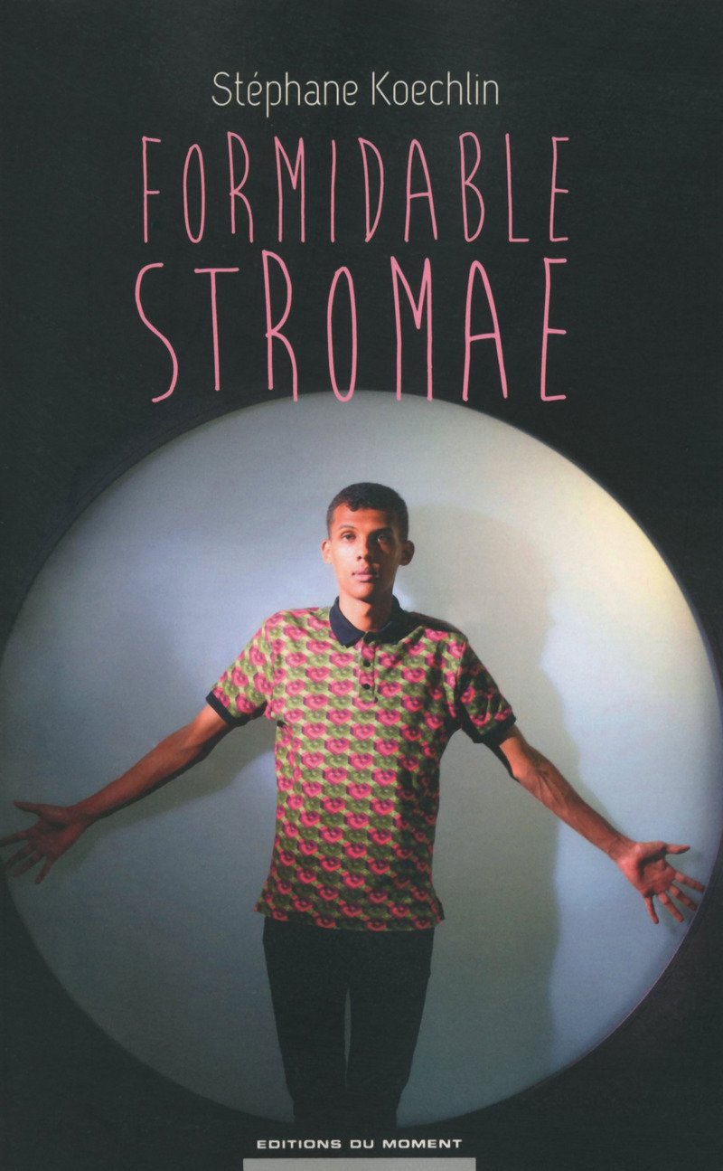 Formidable Stromae 9782354173029