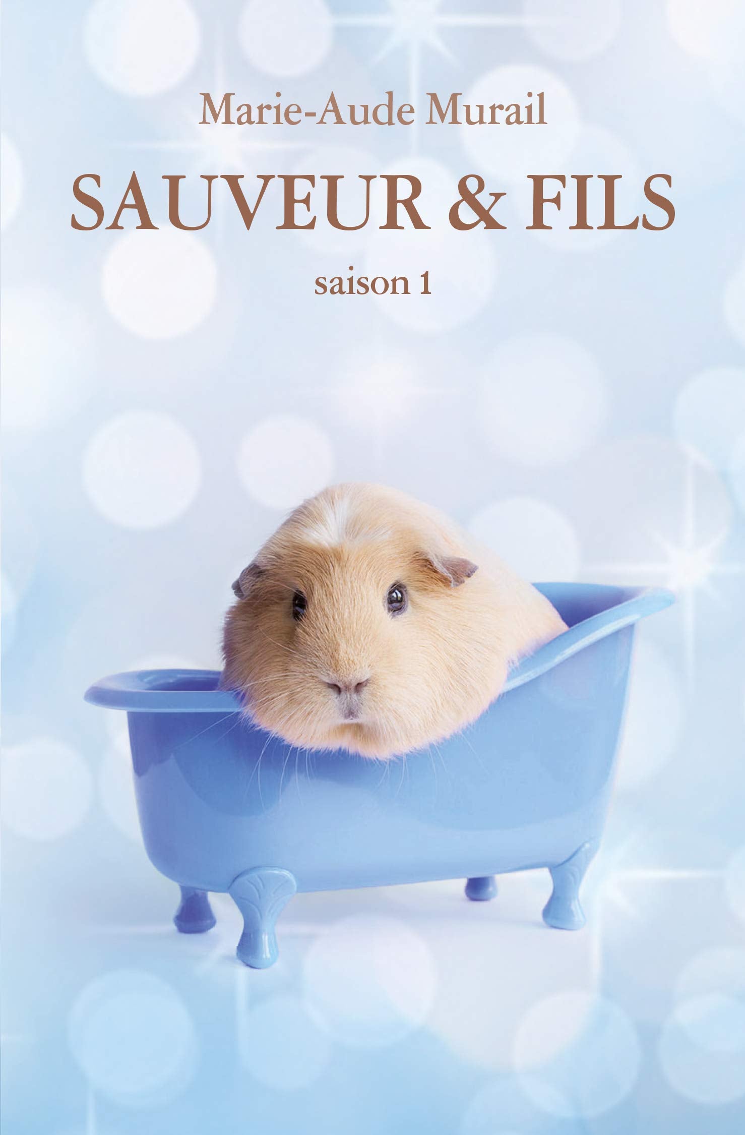 SAUVEUR & FILS SAISON 1 (POCHE) 9782211236331