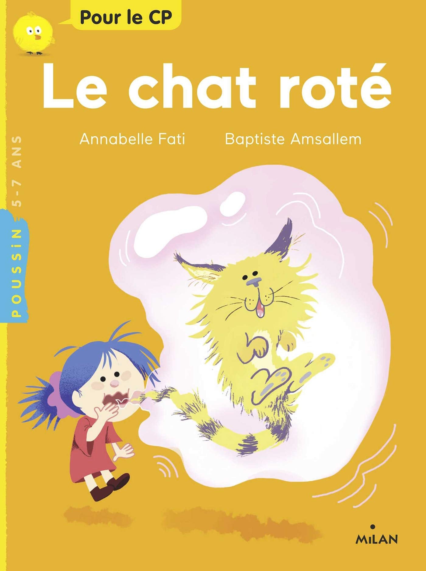 Le chat roté 9782408014636