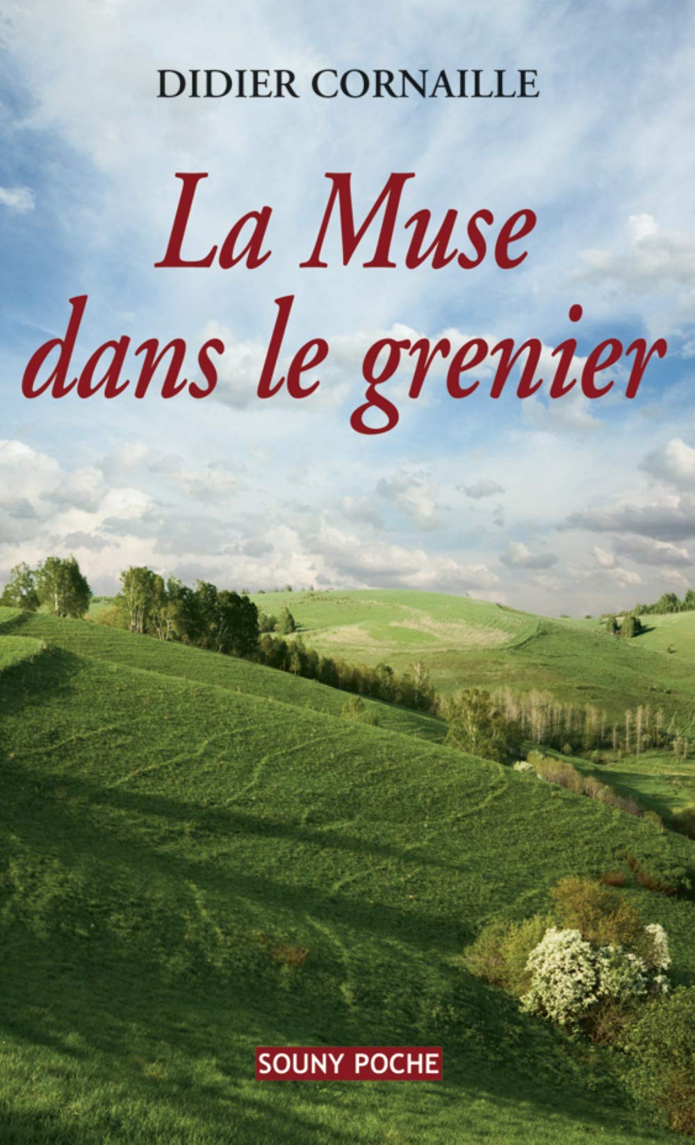 La muse dans le grenier 9782848863146