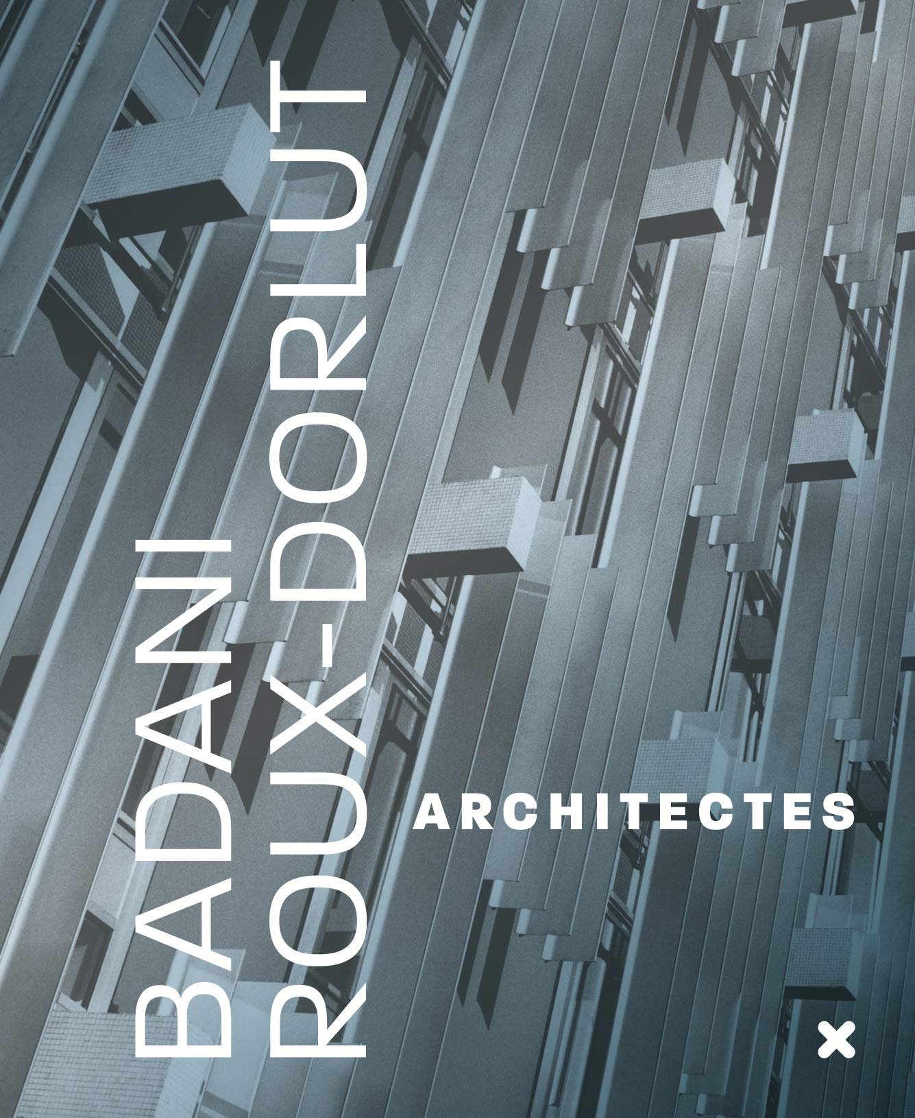 Badani / Roux-Dorlut architectes: La conquête du milieu 9782910385965