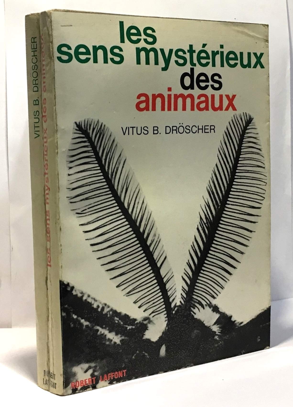 Les sens mystérieux des animaux
