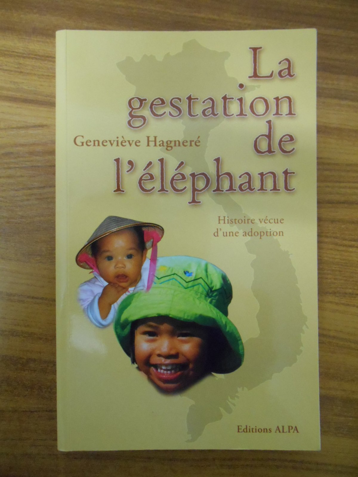 La gestation de l'éléphant histoire vécue d'une adoption 9782849940013