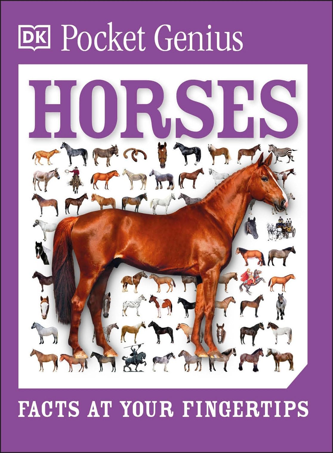 Pocket Genius: Horses: Facts at Your Fingertips 9781465445872