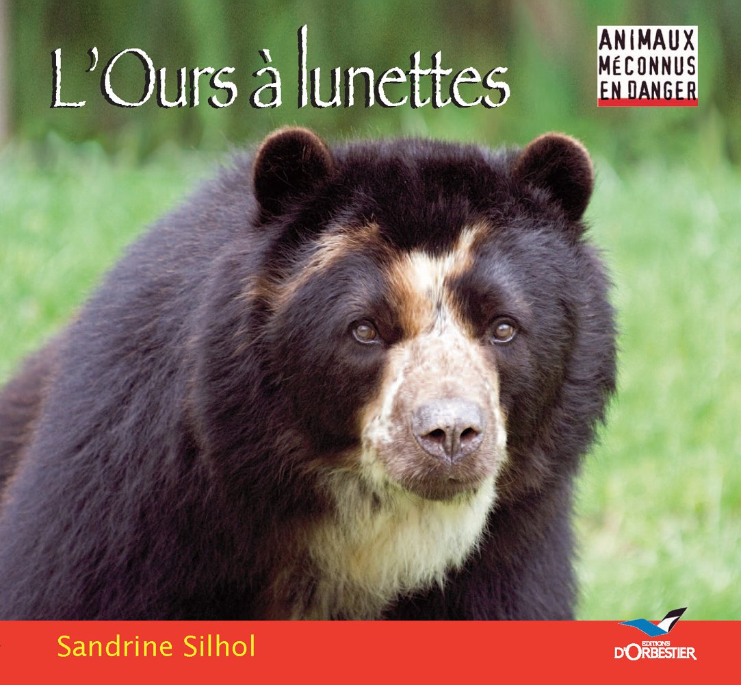 L'Ours À Lunettes 9782842381400