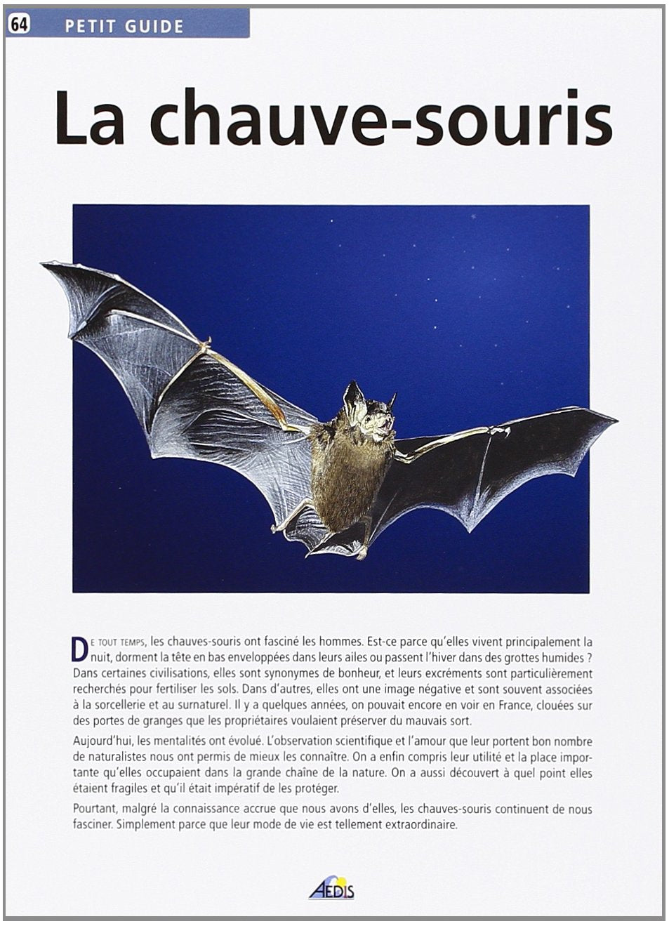 PG064 - La chauve-souris 9782842590918