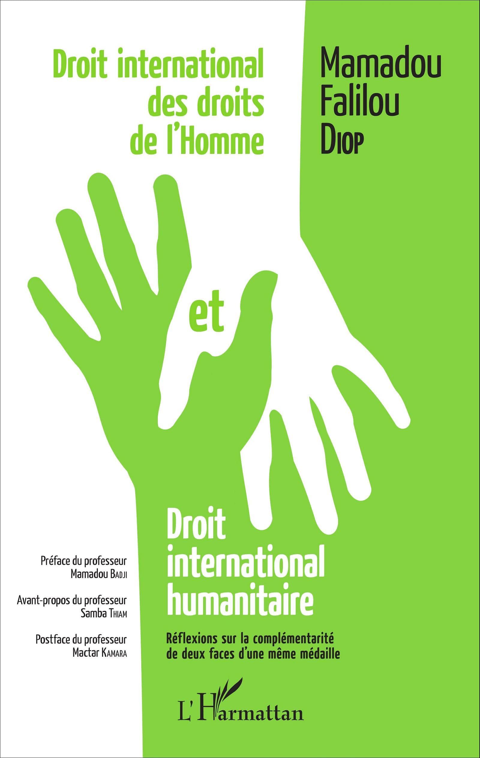 Droit international des droits de l'homme et droit international humanitaire: Réflexions sur la complémentarité de deux faces d'une même médaille 9782343079646