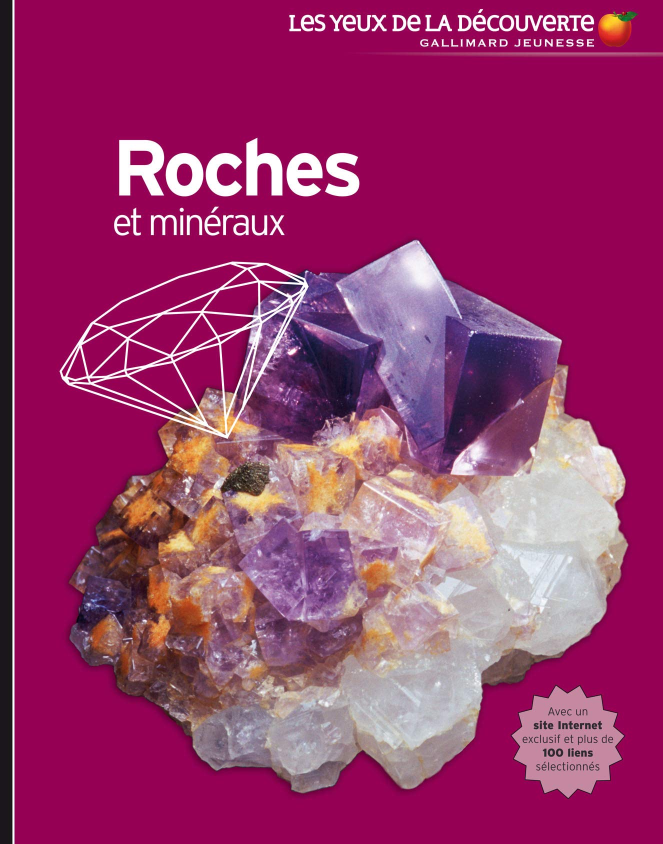 Roches et minéraux 9782070613748