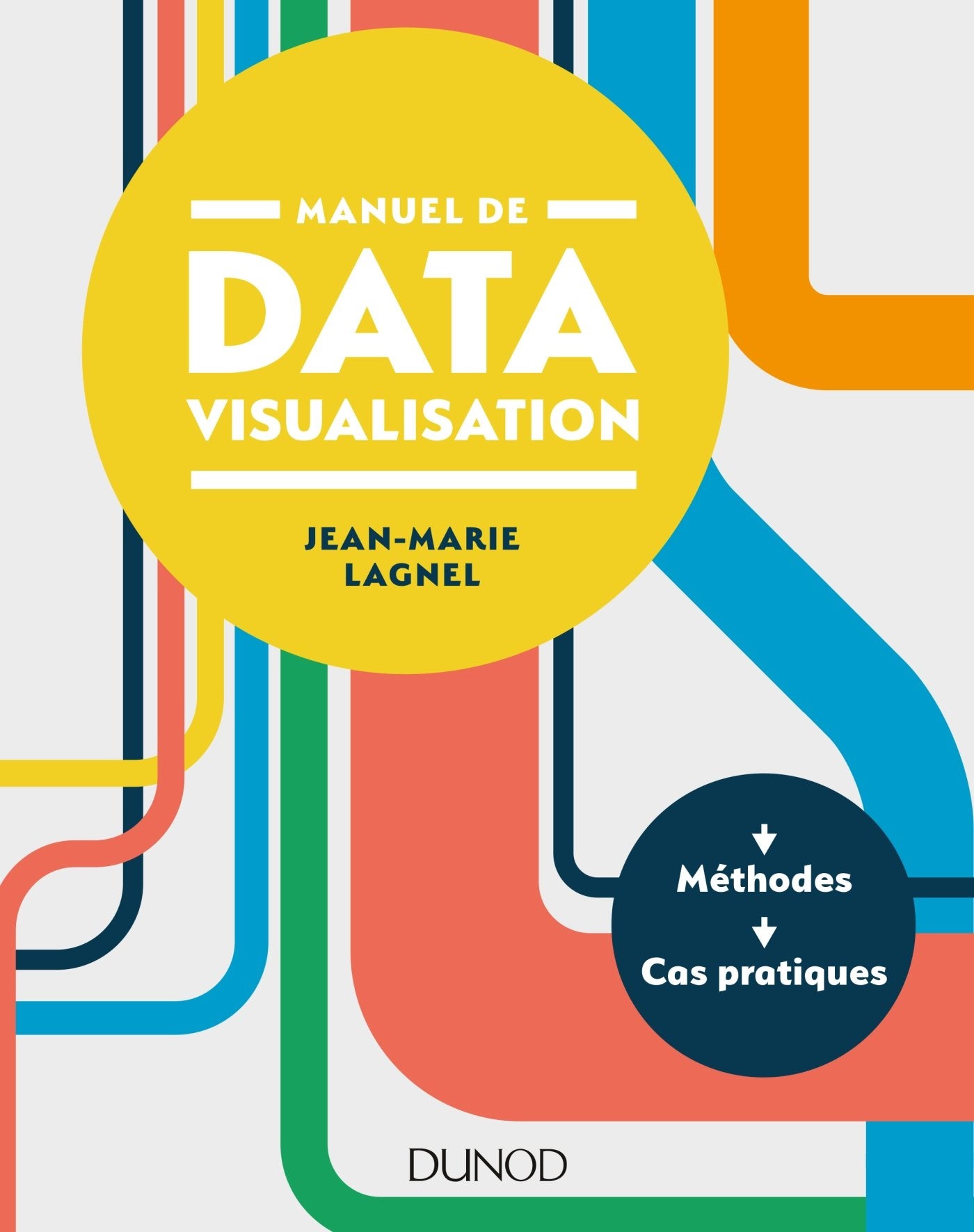 Manuel de datavisualisation - Méthodes - Cas pratiques: Méthodes - Cas pratiques 9782100738816