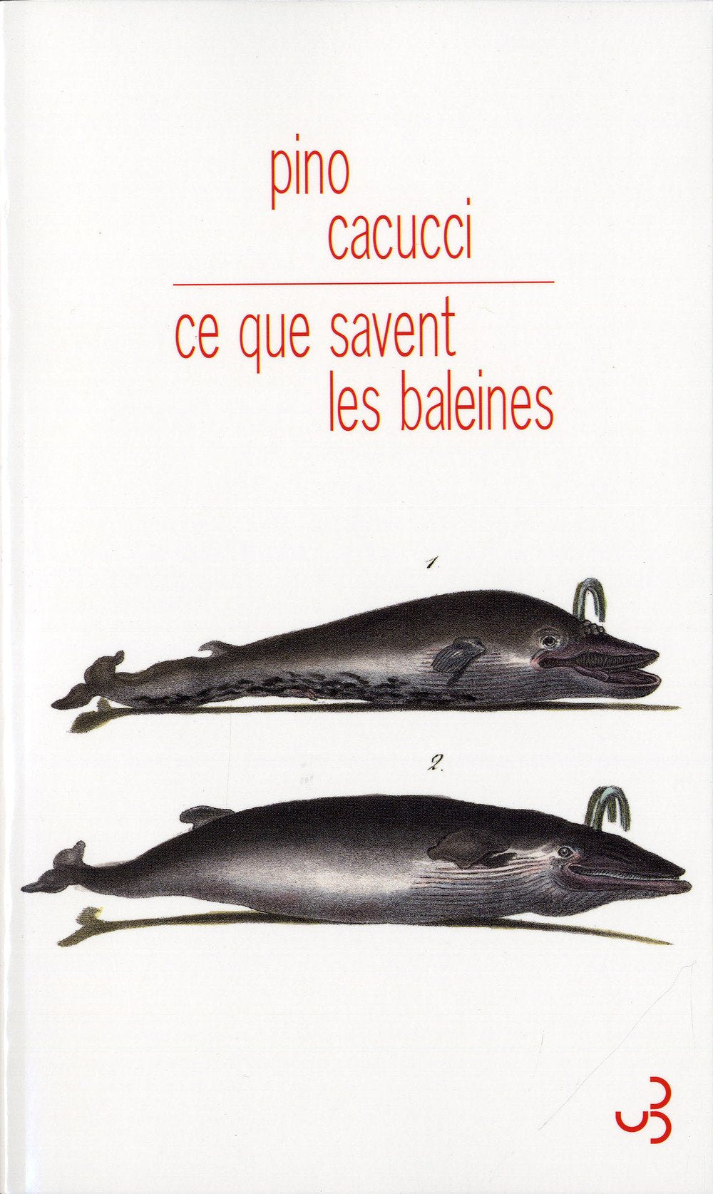 Ce que savent les baleines 9782267023169