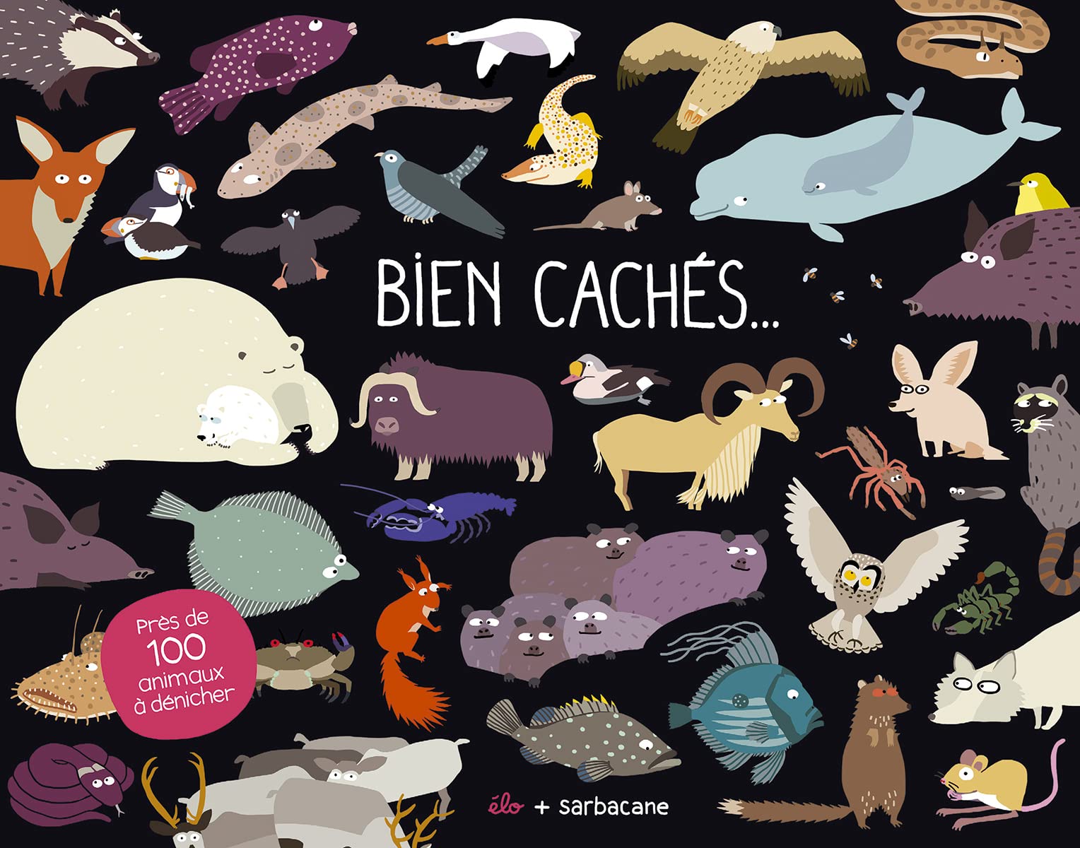 BIEN CACHES 9782848659534