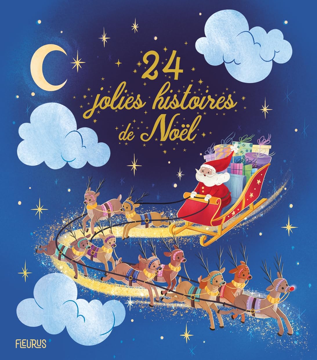 24 jolies histoires de Noël 9782215184881
