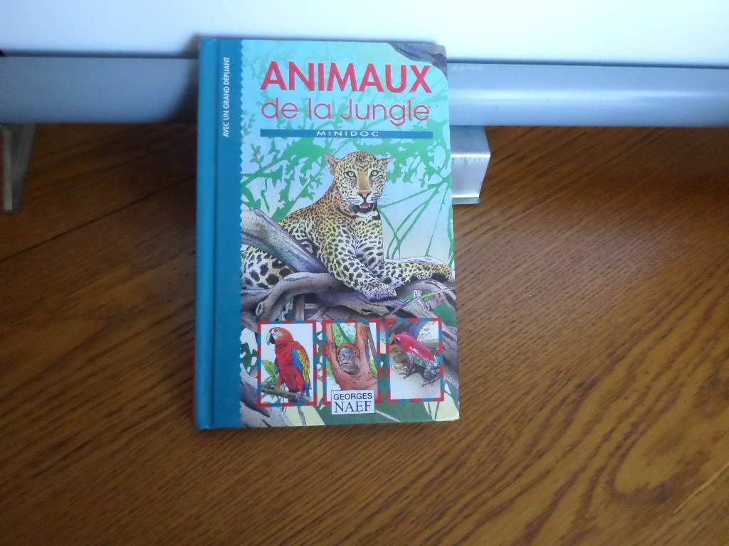 Animaux De La Jungle 9782831302850