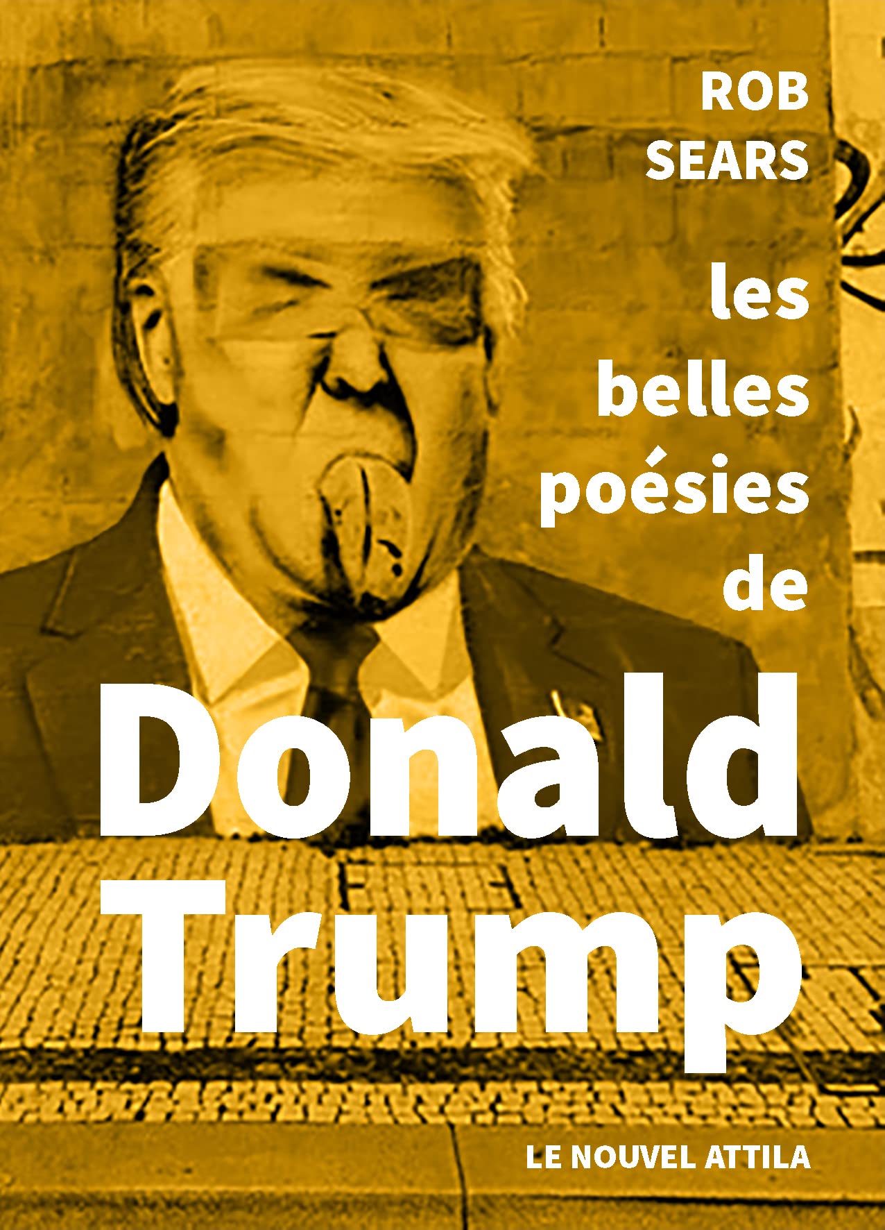 Les belles Poésies de Donald Trump 9782371000964
