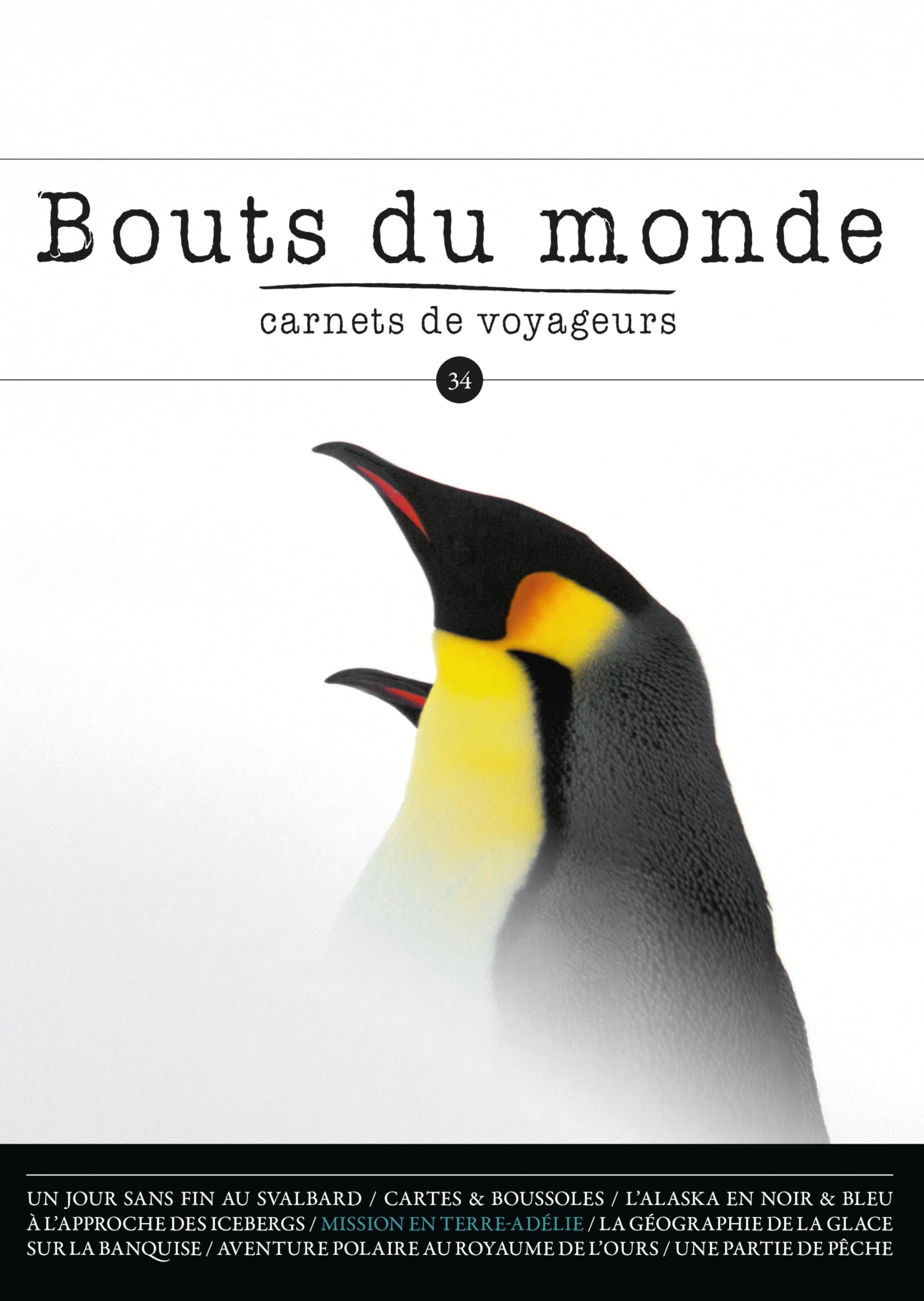 Revue Bouts du monde 34: Mondes polaires 9782919497324