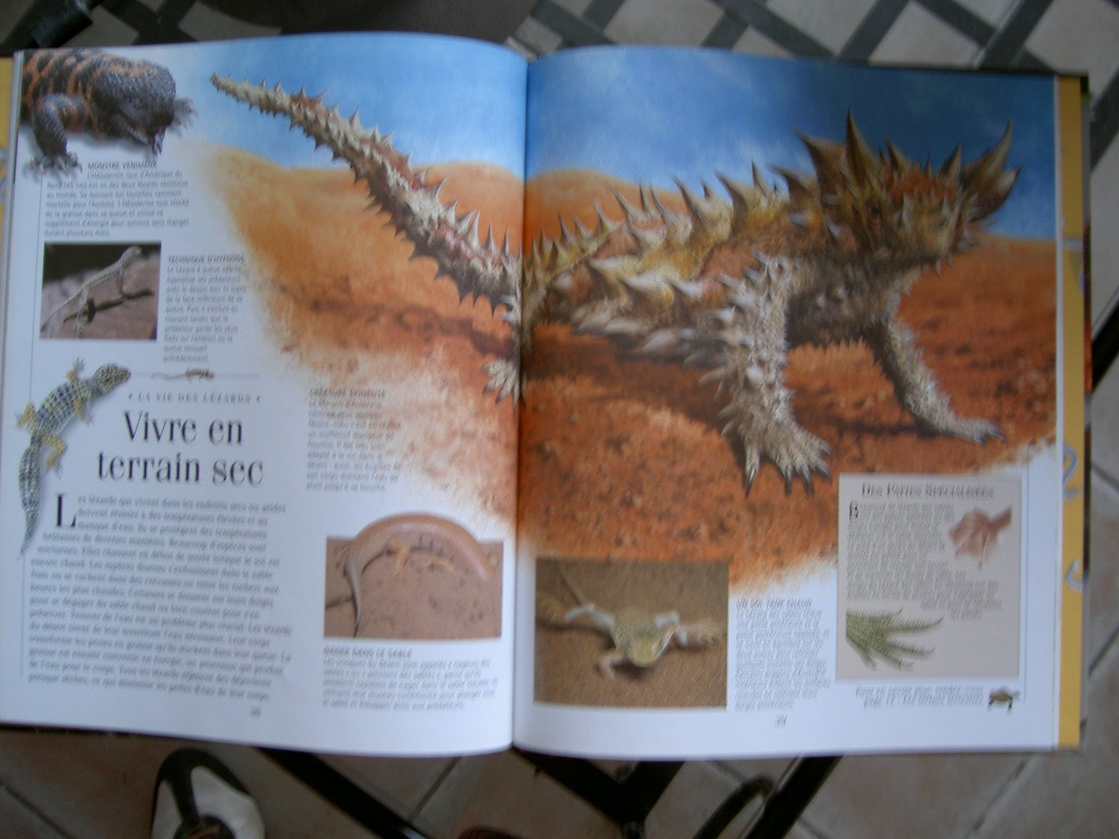 Les reptiles 9782092772478