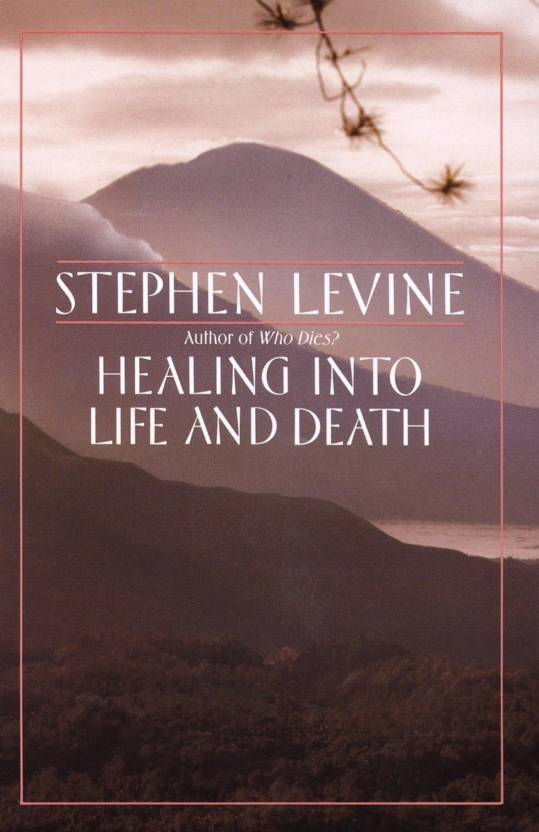 Healing into Life and Death 9780385262194