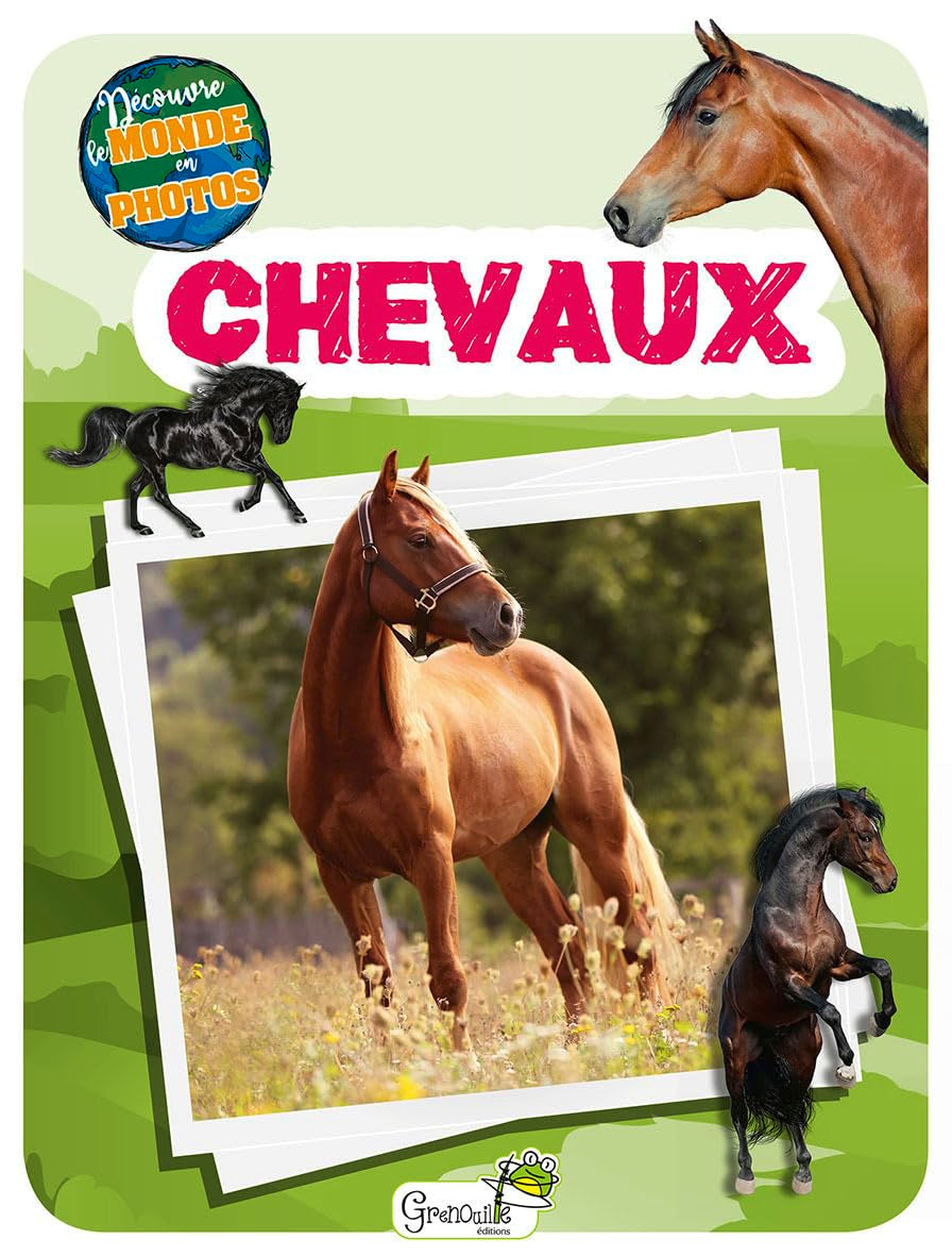 Chevaux 9782366536683