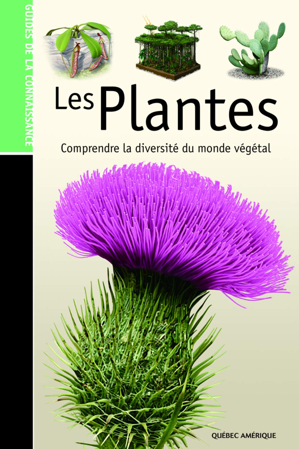 Les plantes : Comprendre la diversité du monde végétal 9782764408391
