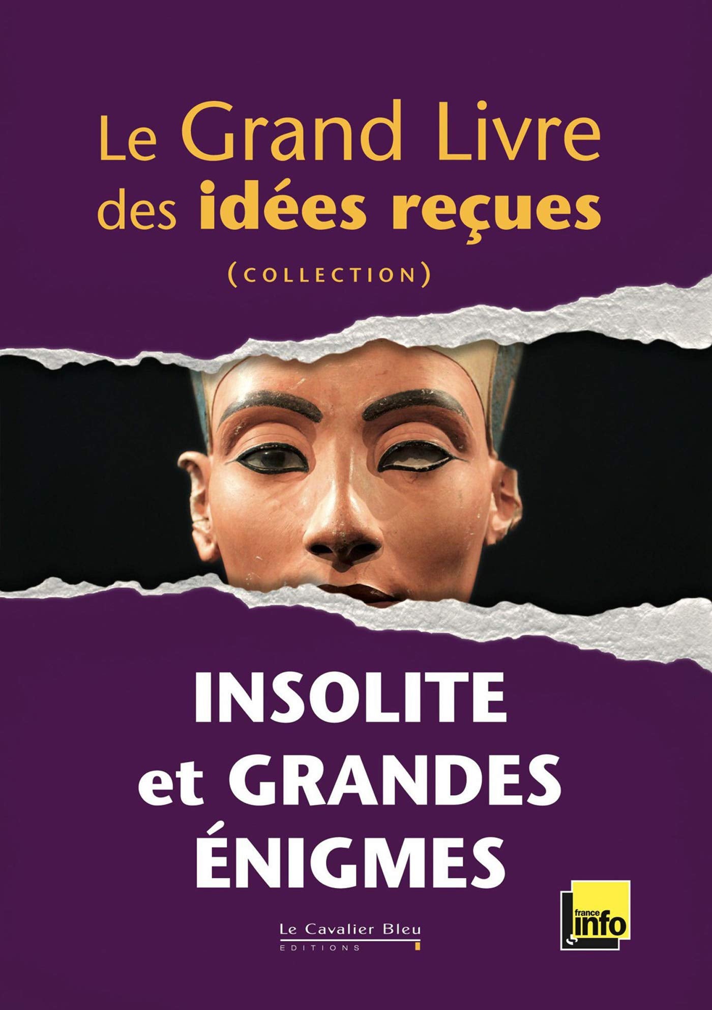 Le Grand livre des idées reçues - Insolite et Grandes Enigmes 9782846703116