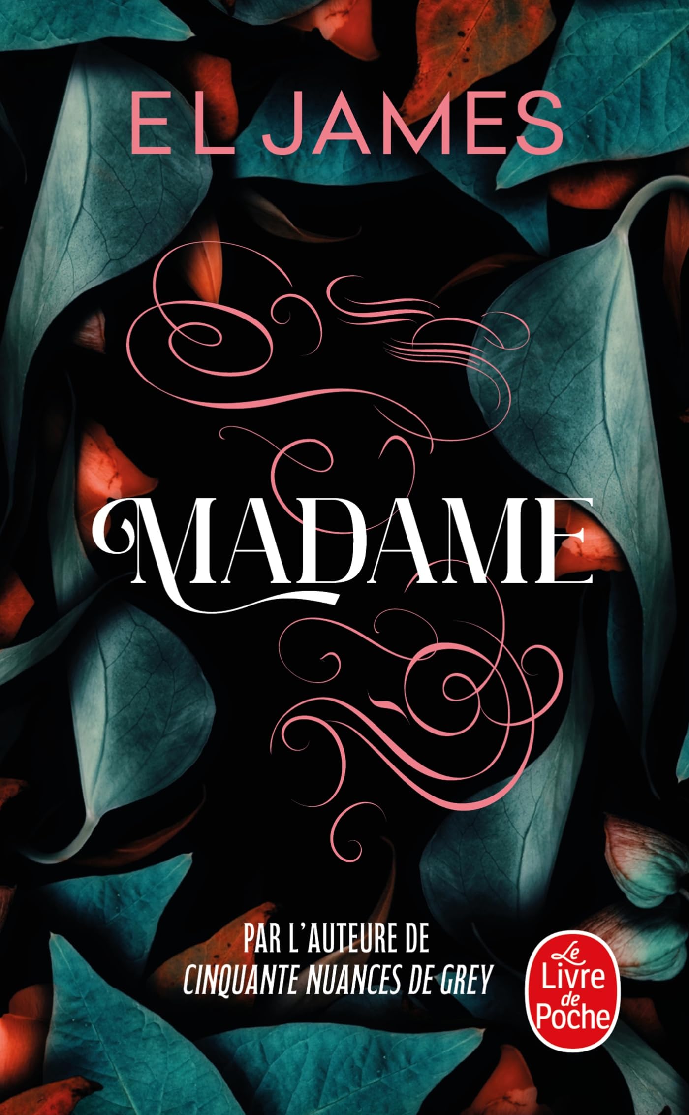 Madame 9782253907893