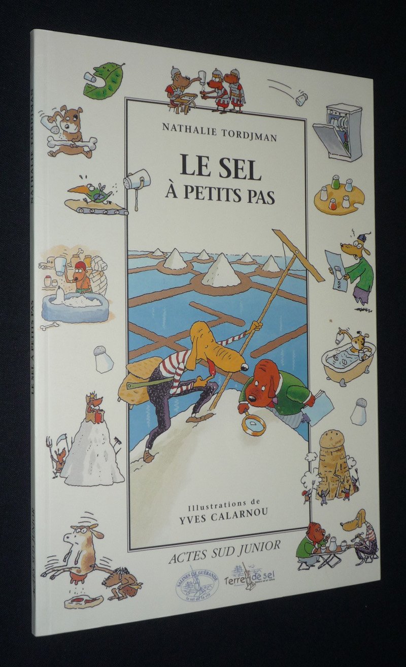 Le Sel à petits pas 9782742740109
