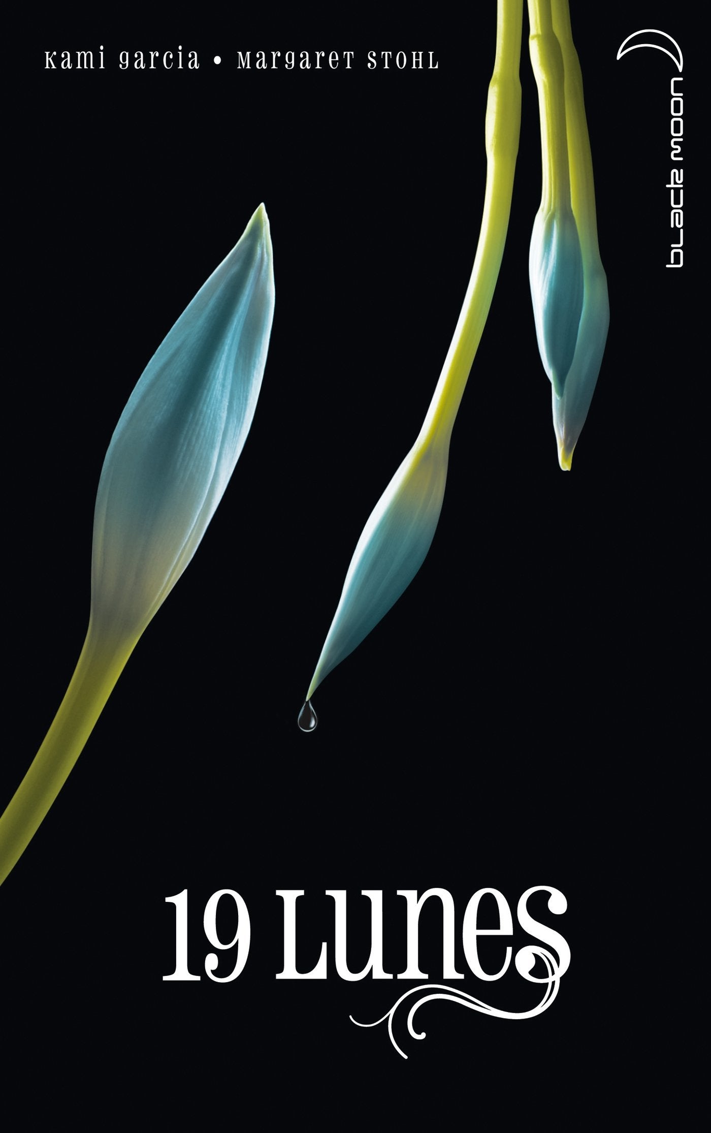Saga Sublimes Créatures - Tome 4 - 19 Lunes 9782012023550