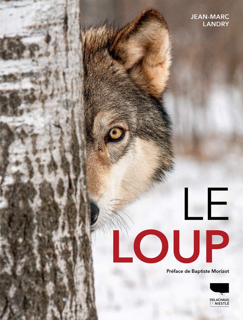 Le Loup 9782603024539