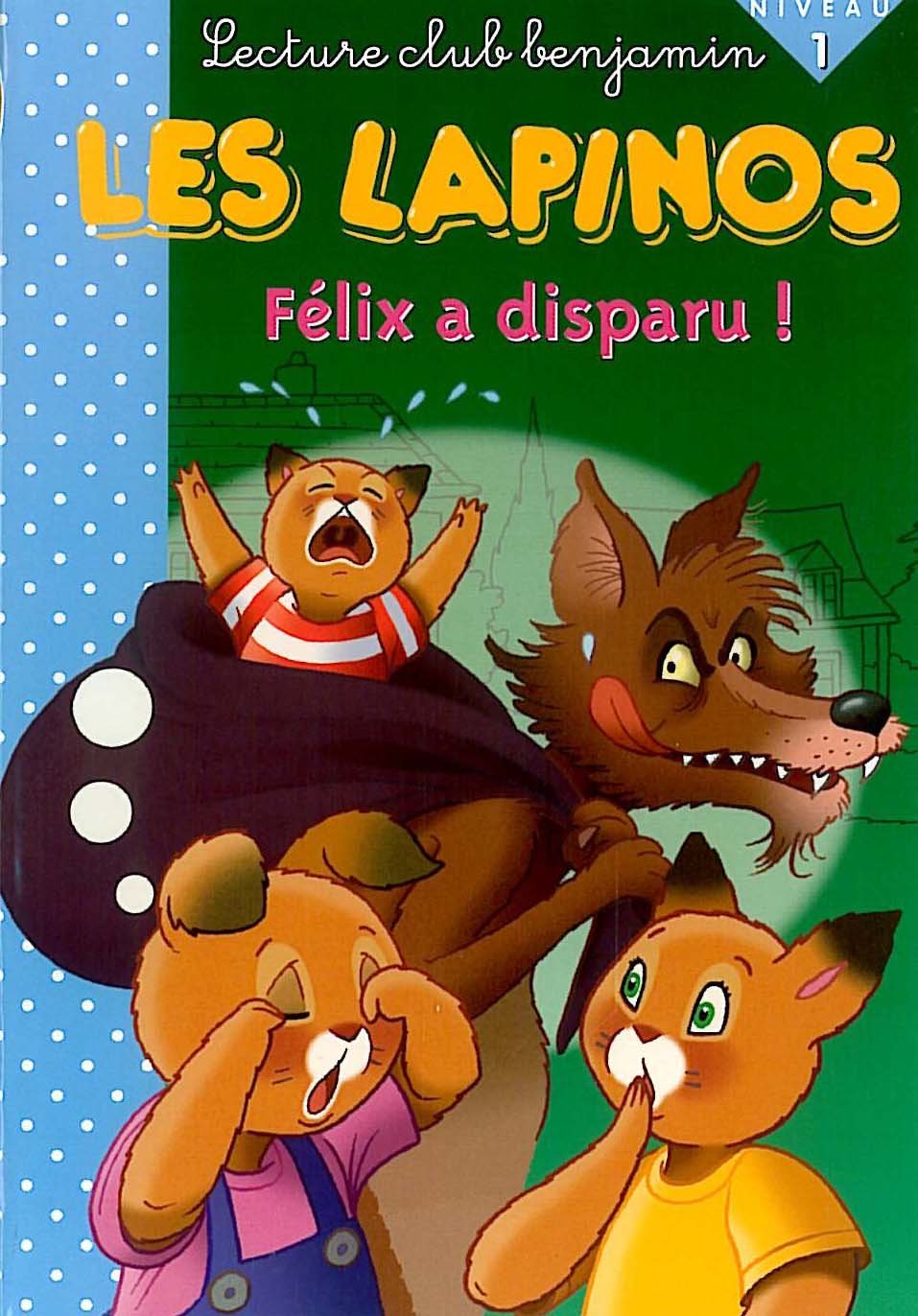 Félix a disparu 9782846062534