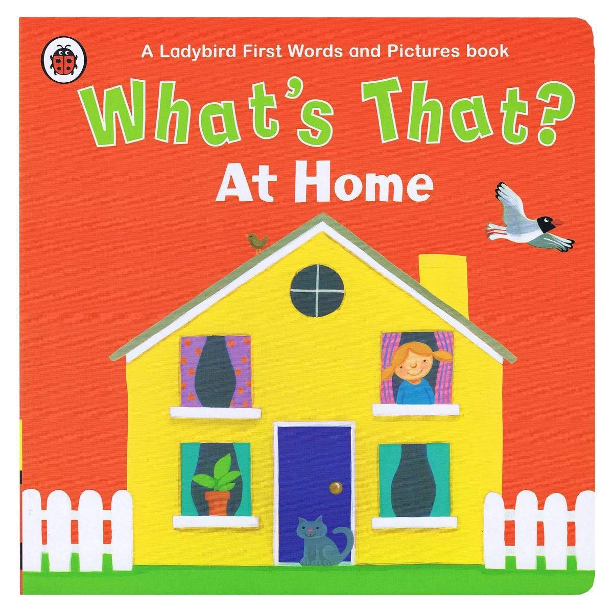 What's That? At Home A Ladybird First Words and Pictures Book 9780241287859