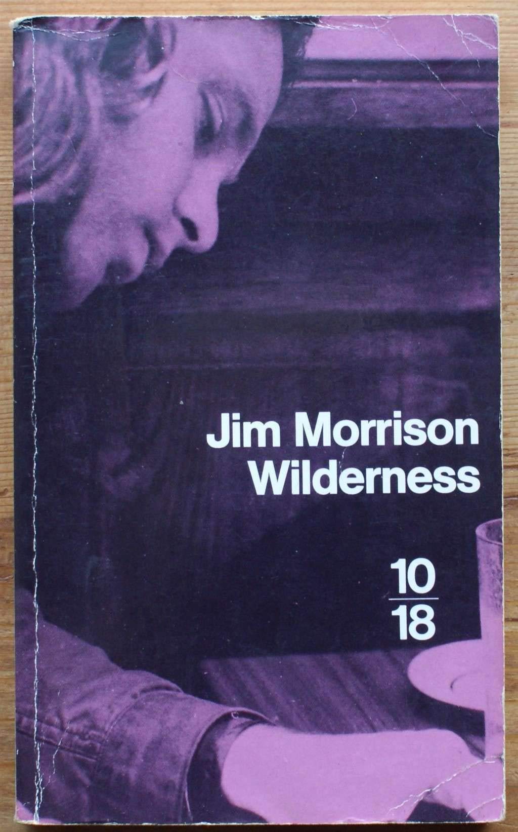 Wilderness 9782264017390