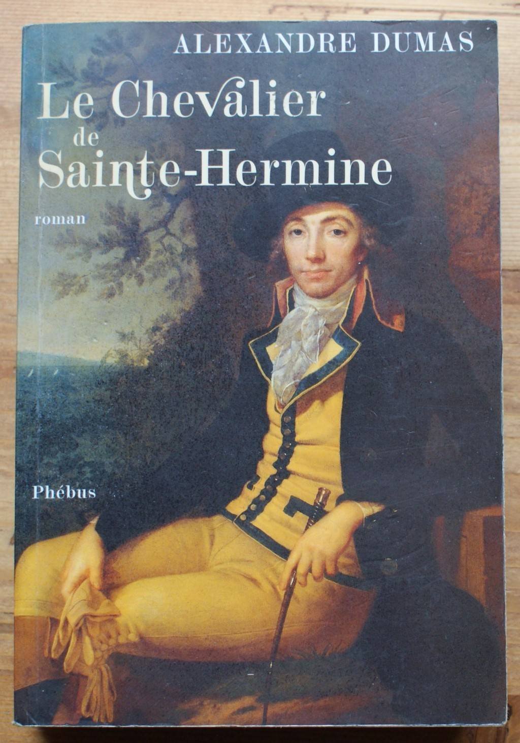 Le chevalier de Sainte-Hermine 9782752900968
