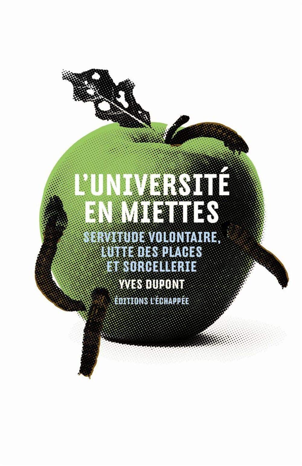L' Université en miettes: Servitude volontaire, lutte des places et sorcellerie 9782915830811
