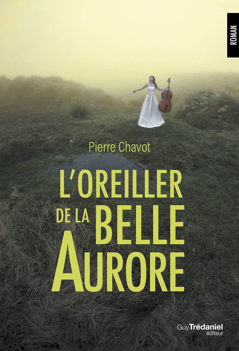 L'oreiller de la belle Aurore 9782813227850